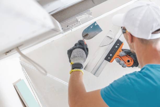 Mold Documentation for Insurance Claims in Pleasant Grove, UT
